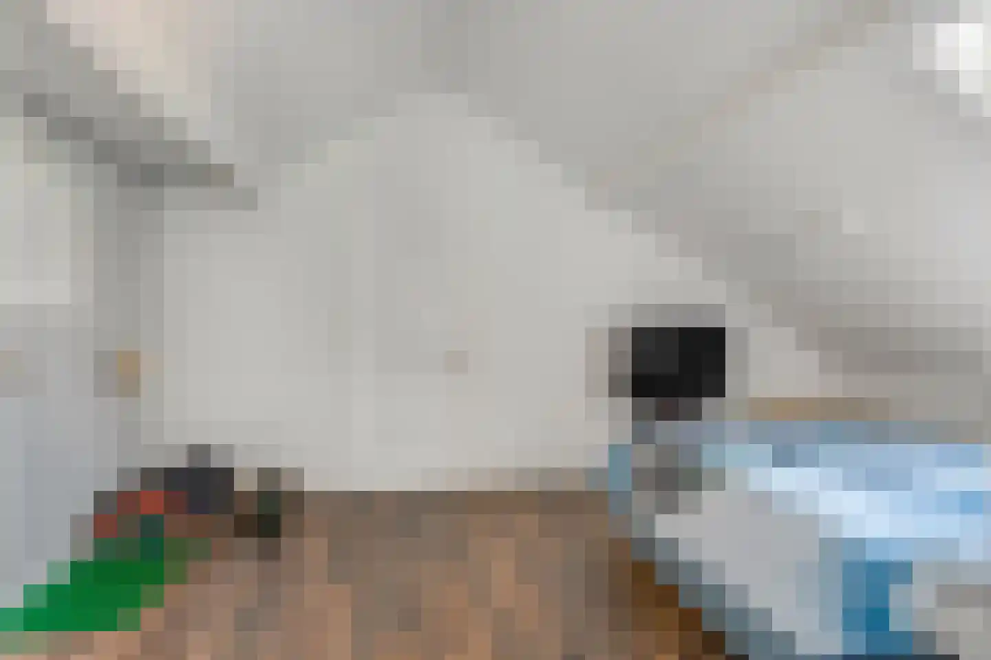Nieuwe Steeg 14 b Leersum thumbnail 27