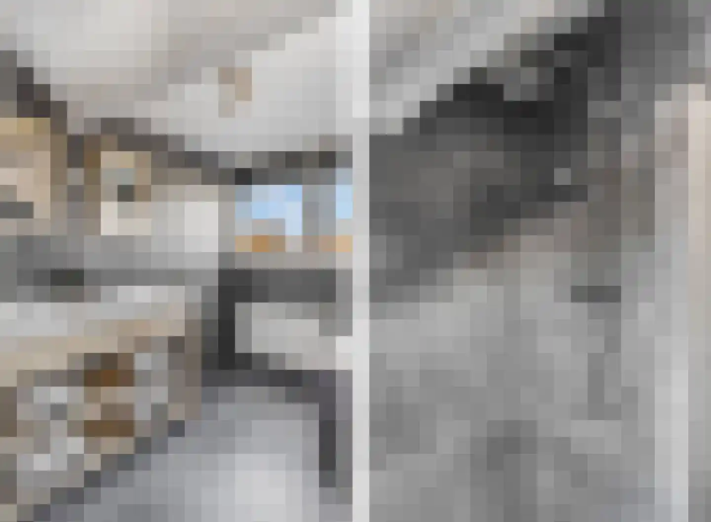 Nieuwe Steeg 14 b Leersum thumbnail 33