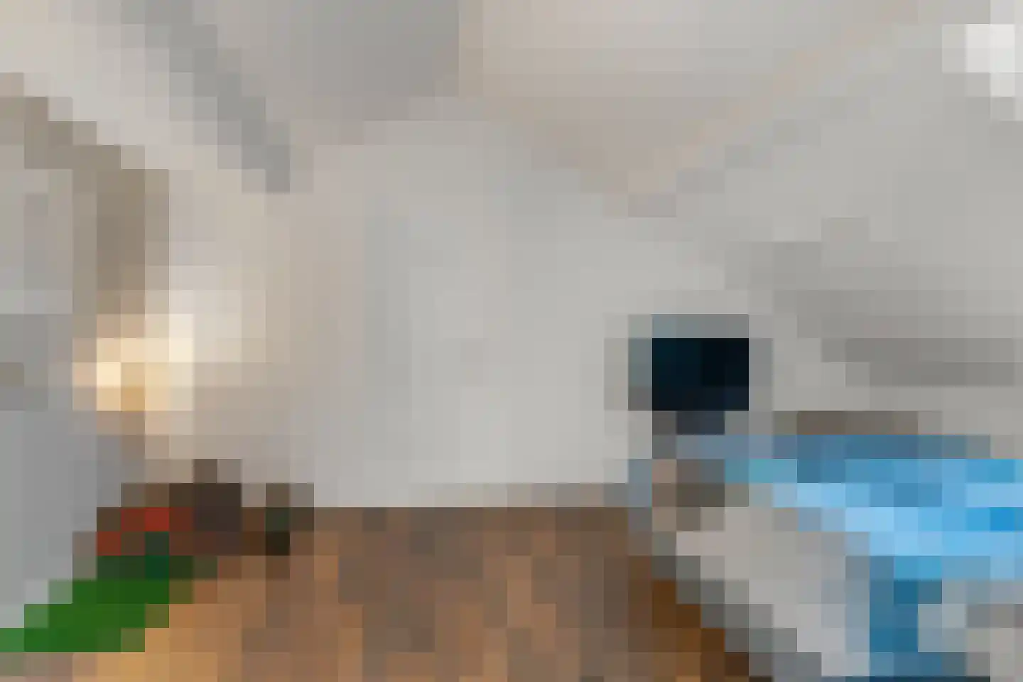Nieuwe Steeg 14 b Leersum thumbnail 36