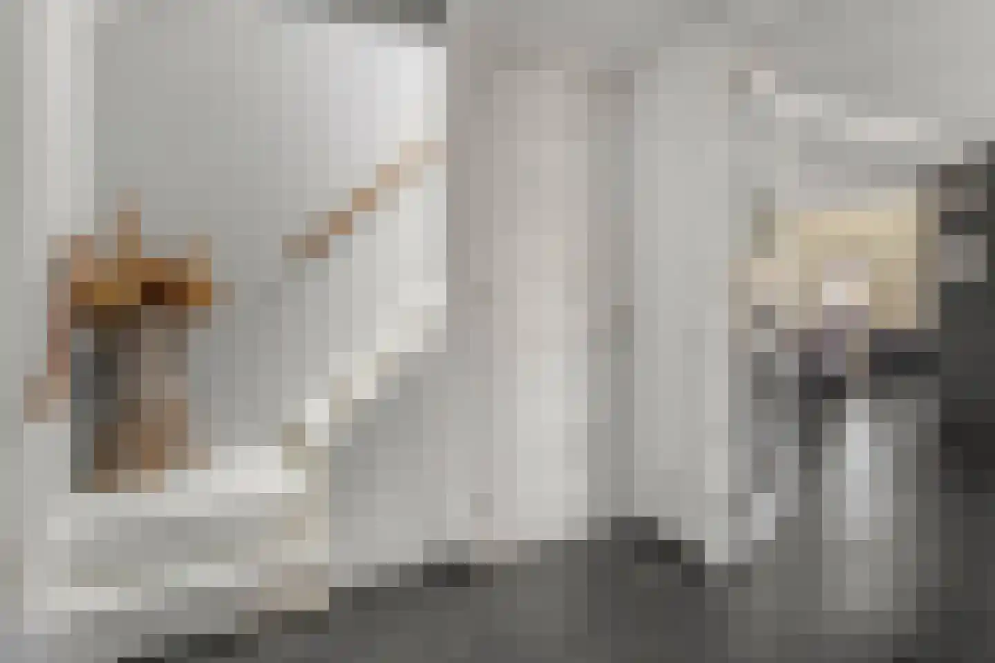 Nieuwe Steeg 14 b Leersum thumbnail 4