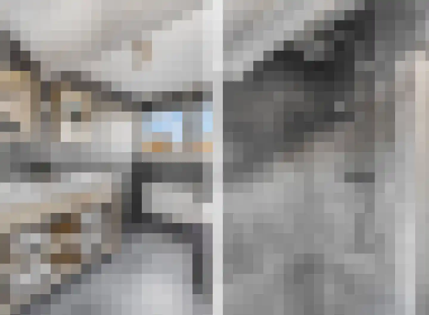 Nieuwe Steeg 14 b Leersum thumbnail 40