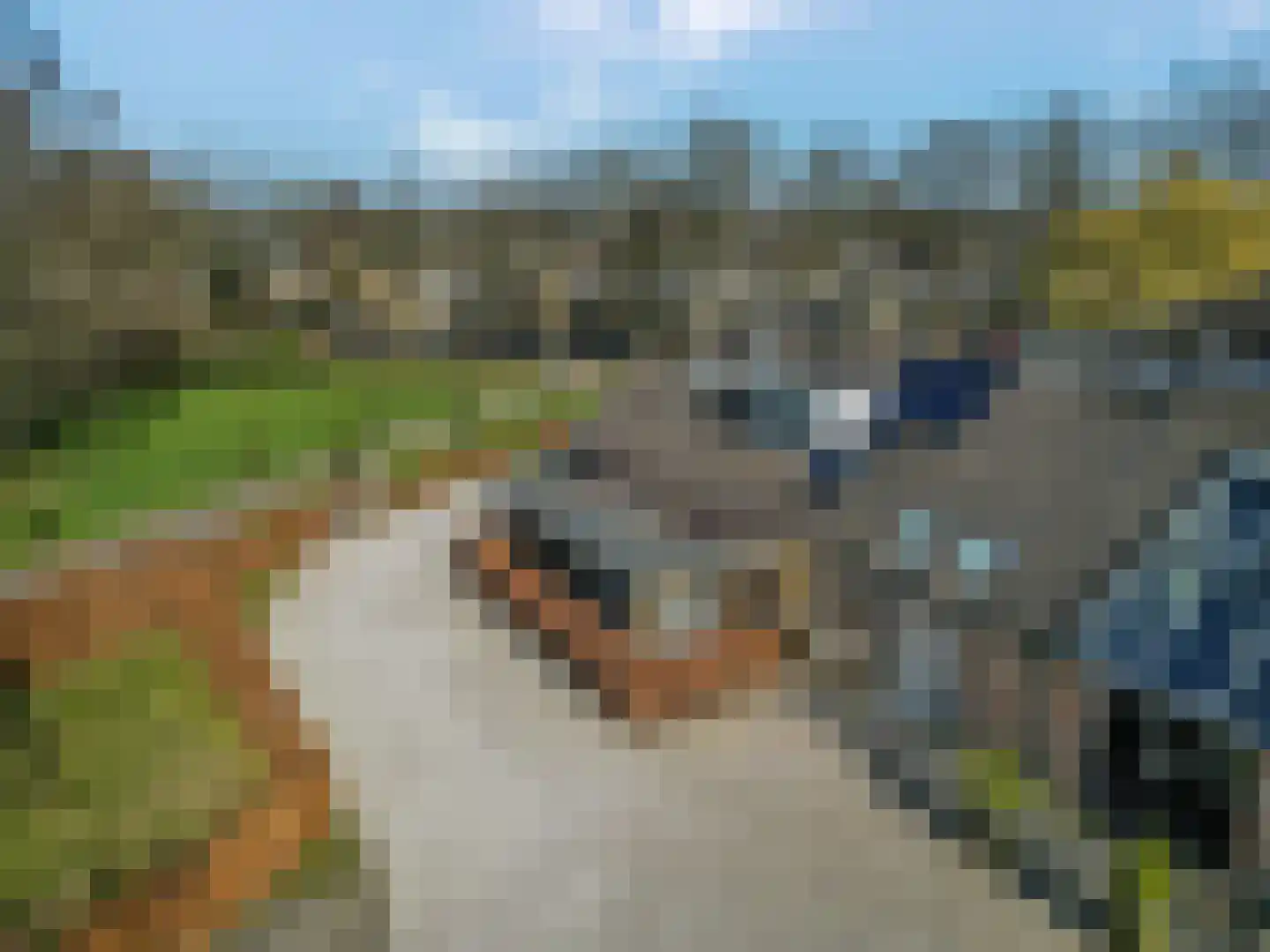 Nieuwe Steeg 14 b Leersum thumbnail 44
