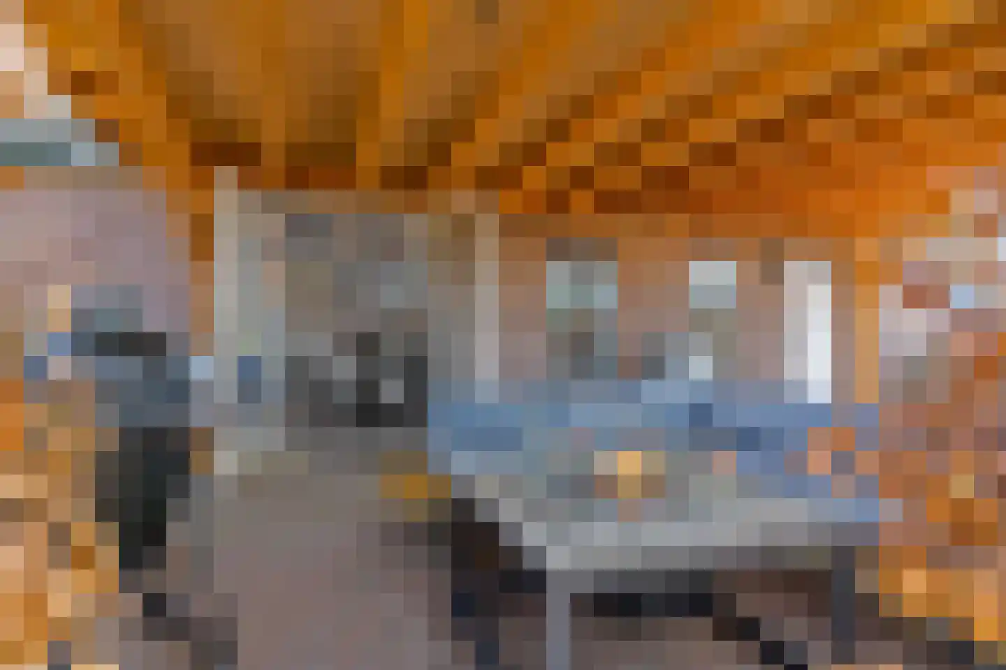 Nieuwe Steeg 14 b Leersum thumbnail 45