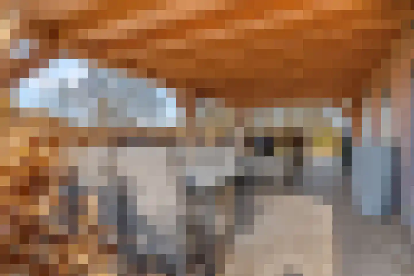 Nieuwe Steeg 14 b Leersum thumbnail 46
