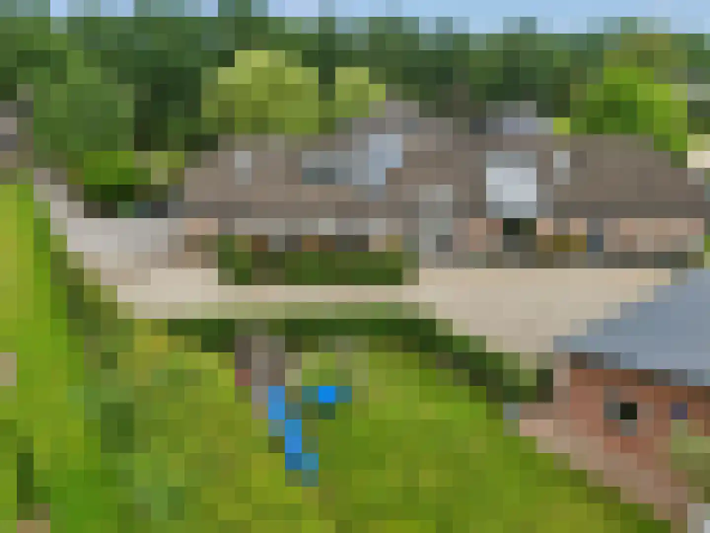 Nieuwe Steeg 14 b Leersum thumbnail 50