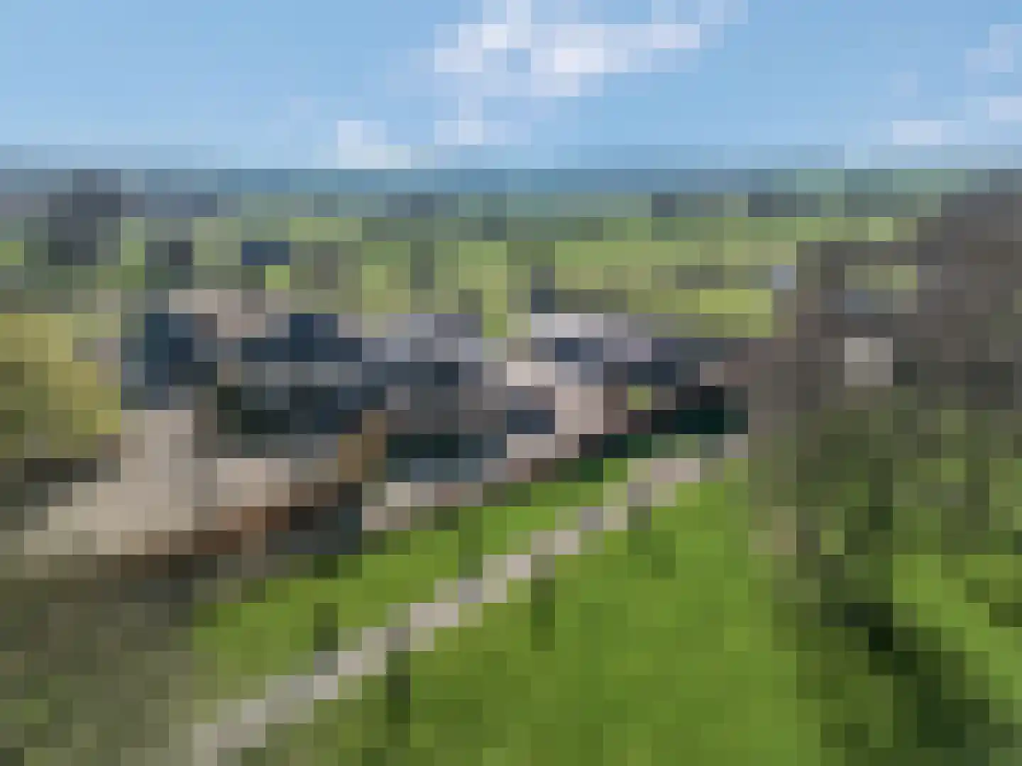 Nieuwe Steeg 14 b Leersum thumbnail 60