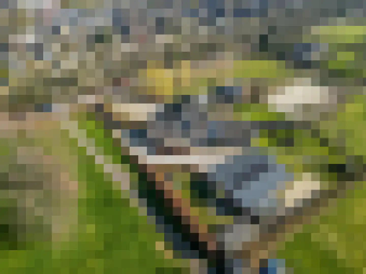 Nieuwe Steeg 14 b Leersum thumbnail 61