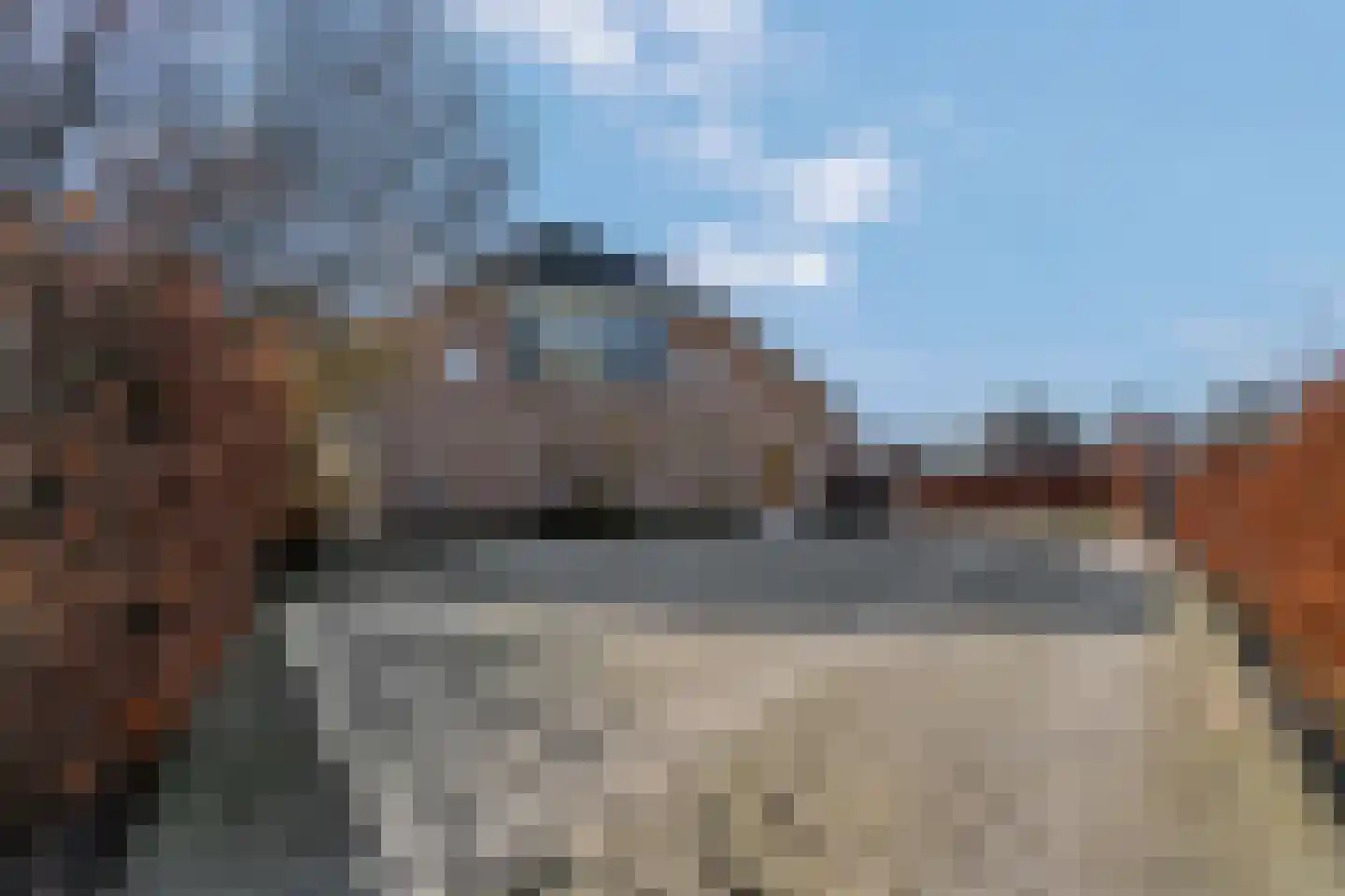 Nieuwe Steeg 14 b Leersum thumbnail 65