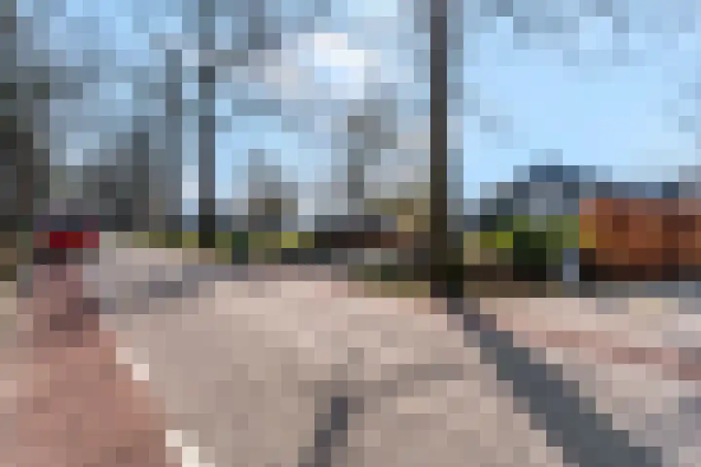 Nieuwe Steeg 14 b Leersum thumbnail 68