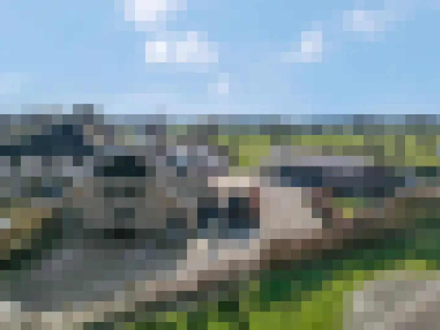 Nieuwe Steeg 14 b Leersum thumbnail 69
