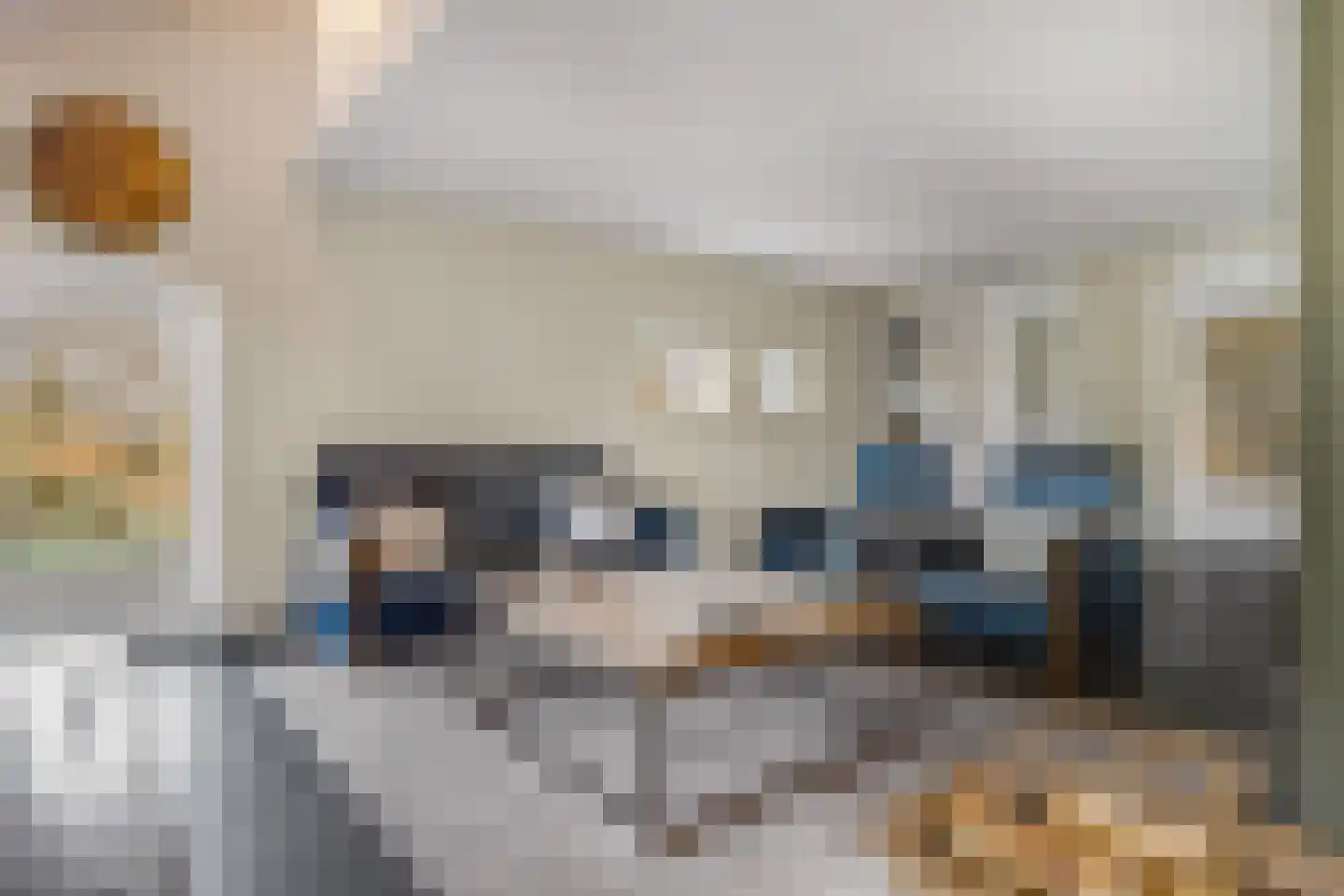Nieuwe Steeg 14 b Leersum thumbnail 8
