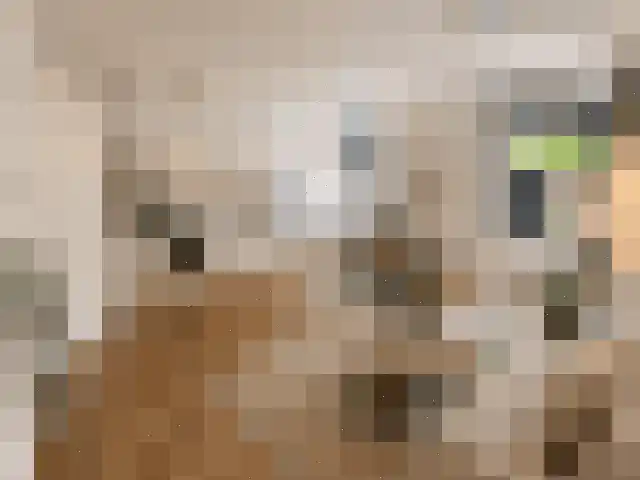 Nieuwe Steeg 2 Naarden thumbnail 4