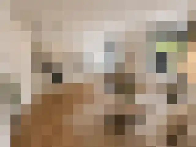 Nieuwe Steeg 2 Naarden thumbnail 4