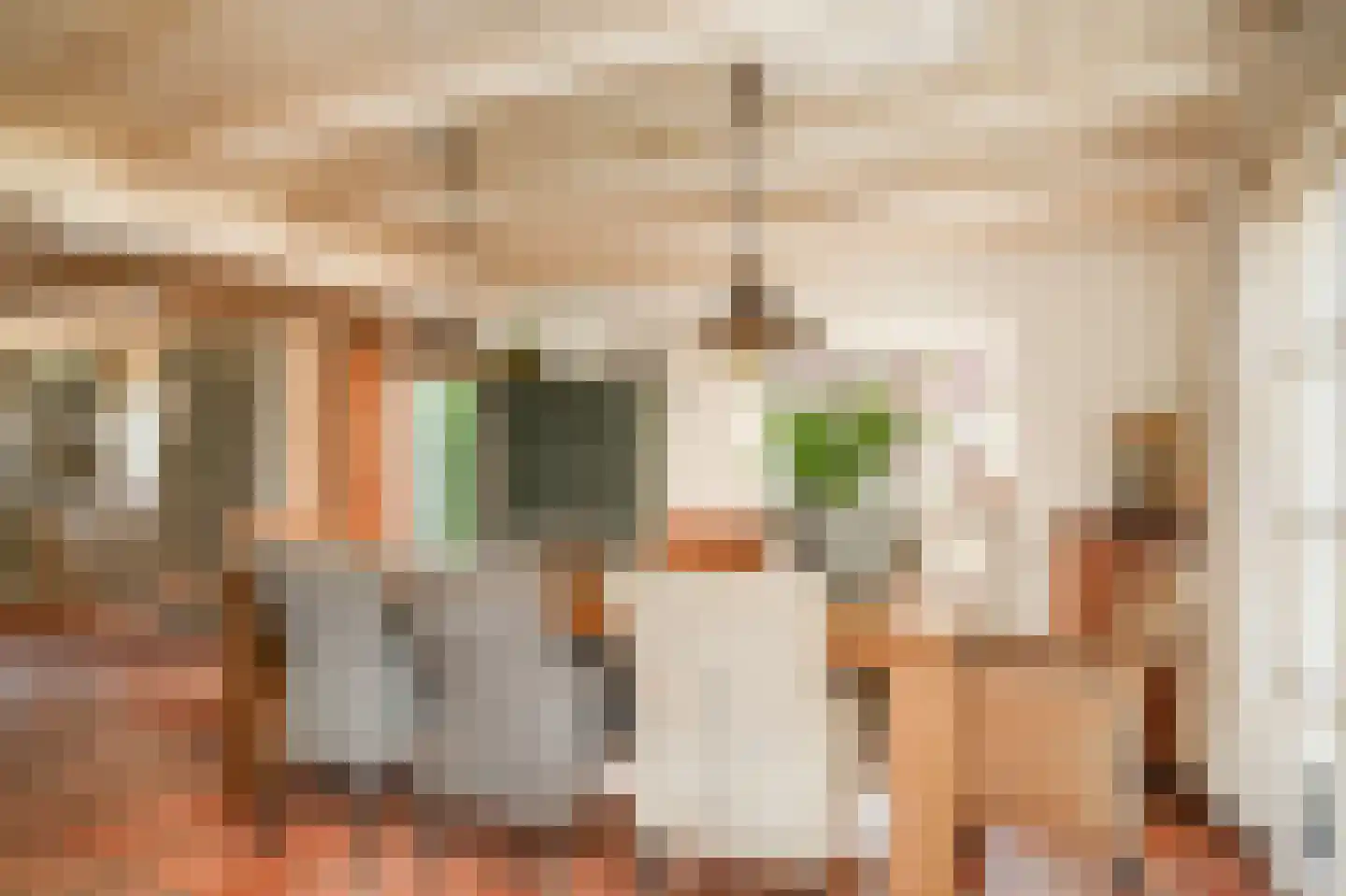 Nieuwe Steeg 4 Dussen thumbnail 13