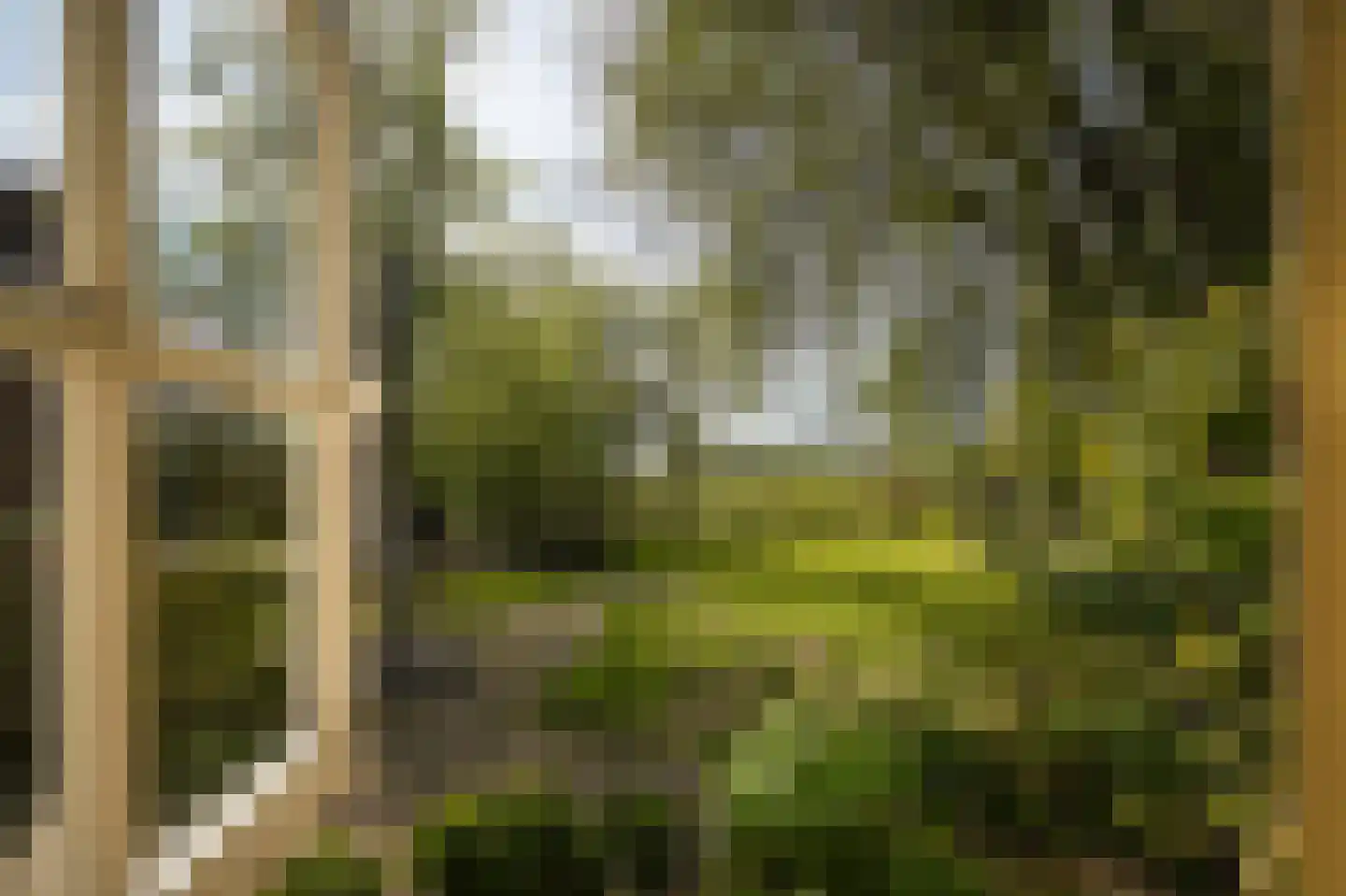 Nieuwe Steeg 4 Dussen thumbnail 18
