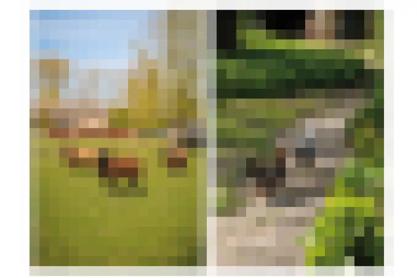 Nieuwe Steeg 4 Dussen thumbnail 30
