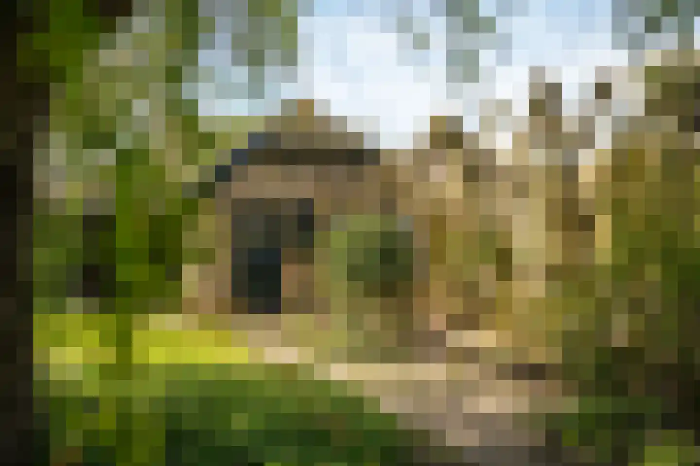 Nieuwe Steeg 4 Dussen thumbnail 32
