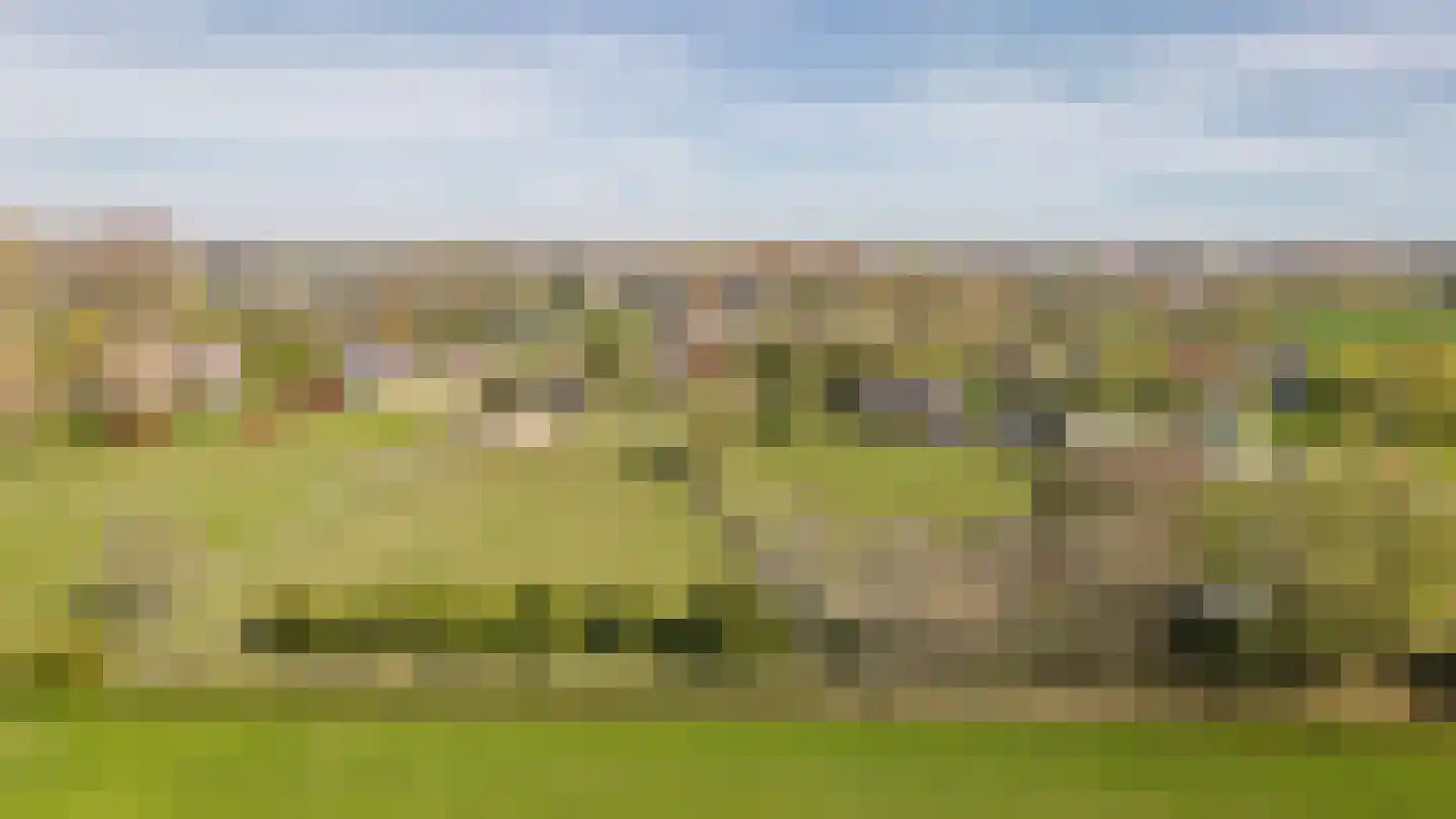 Nieuwe Steeg 4 Dussen thumbnail 4
