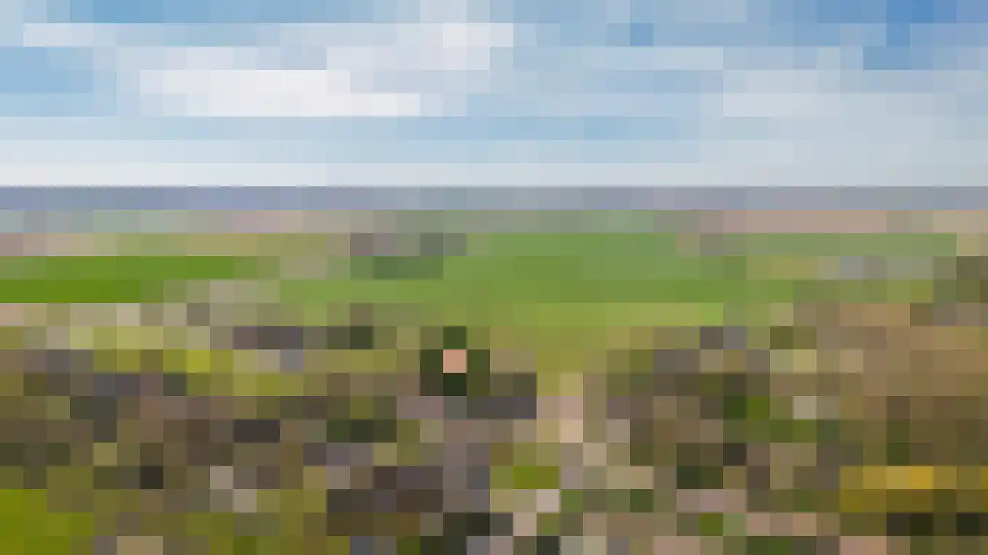 Nieuwe Steeg 4 Dussen thumbnail 43