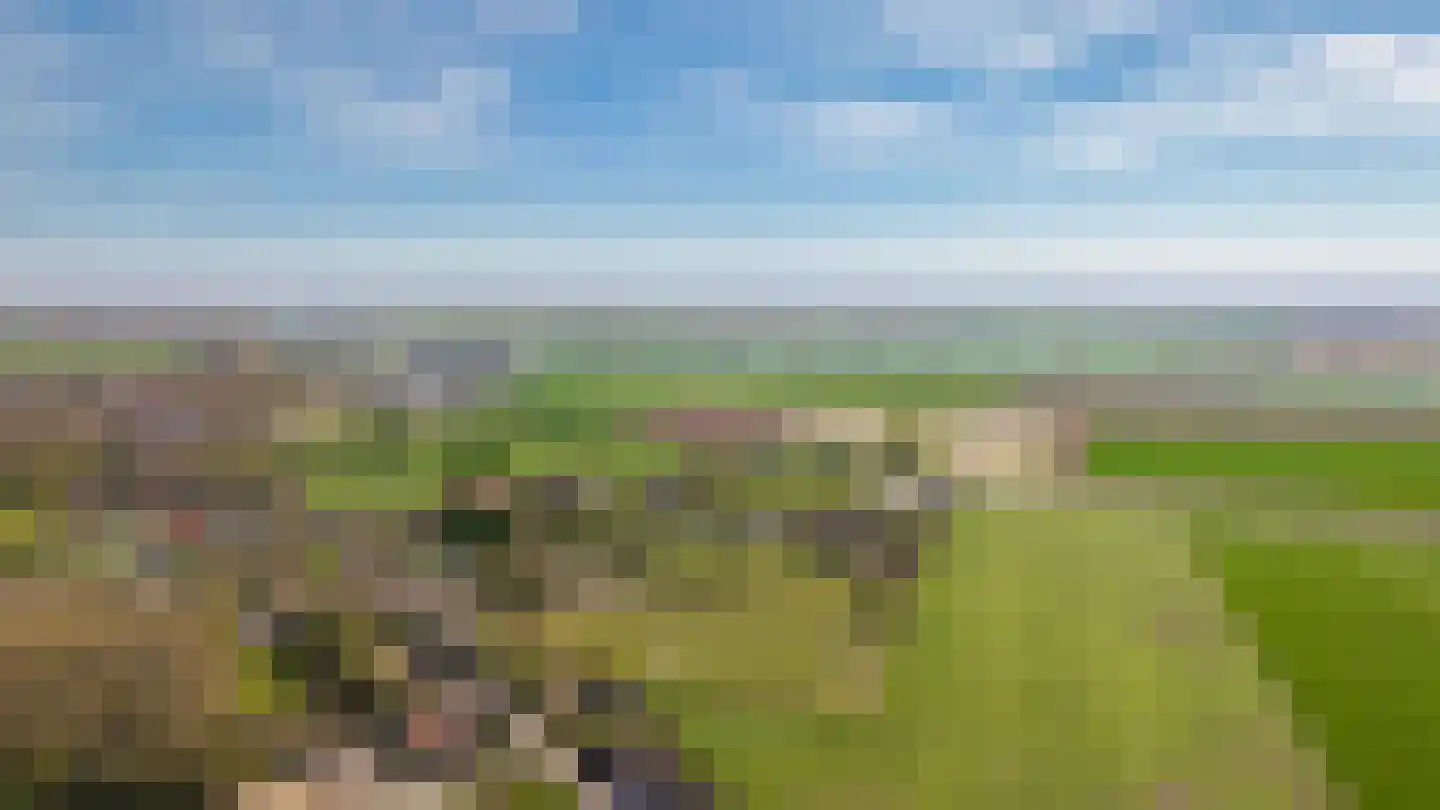 Nieuwe Steeg 4 Dussen thumbnail 44