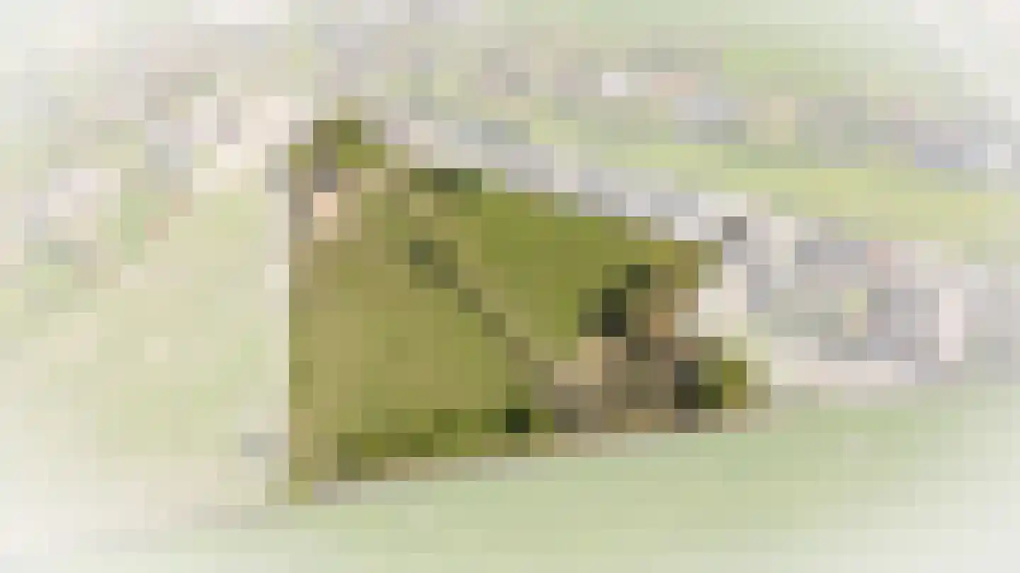 Nieuwe Steeg 4 Dussen thumbnail 5