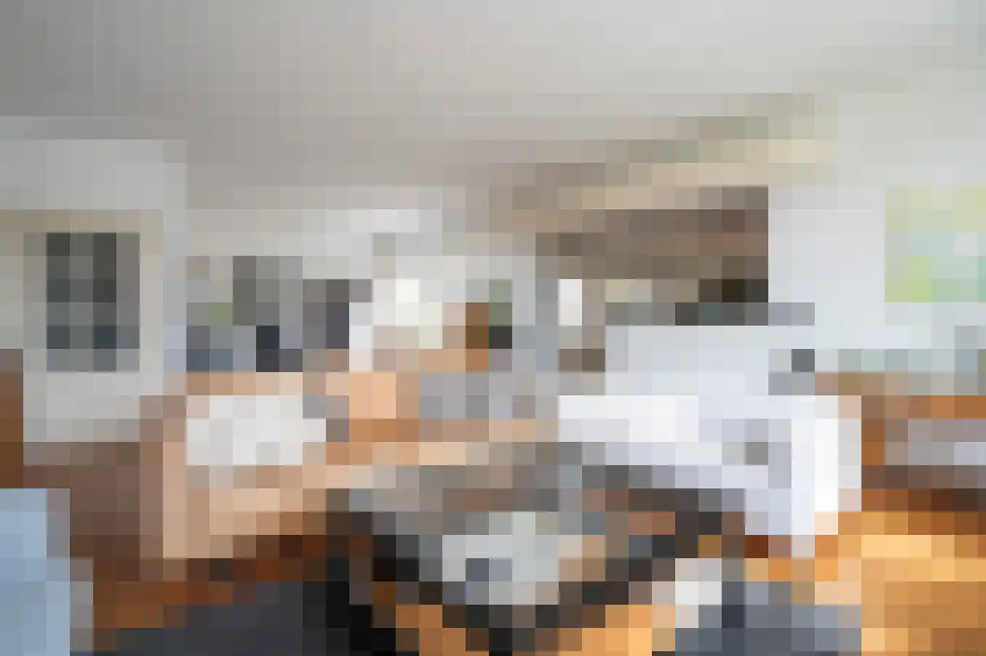 Nieuwe Steeg 42 b Herwijnen thumbnail 13