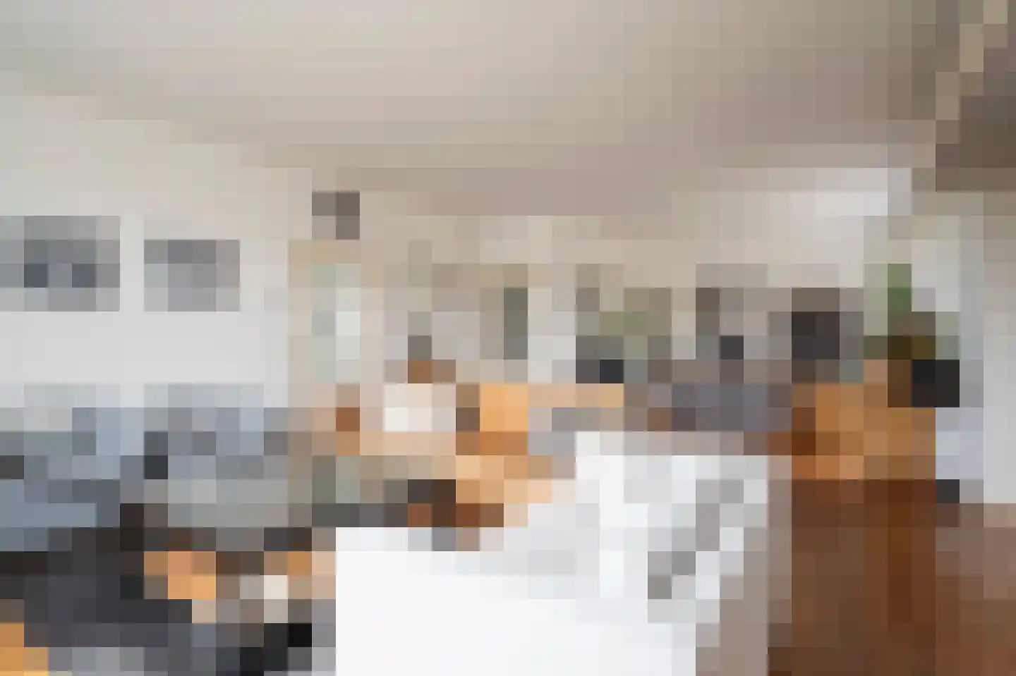 Nieuwe Steeg 42 b Herwijnen thumbnail 14