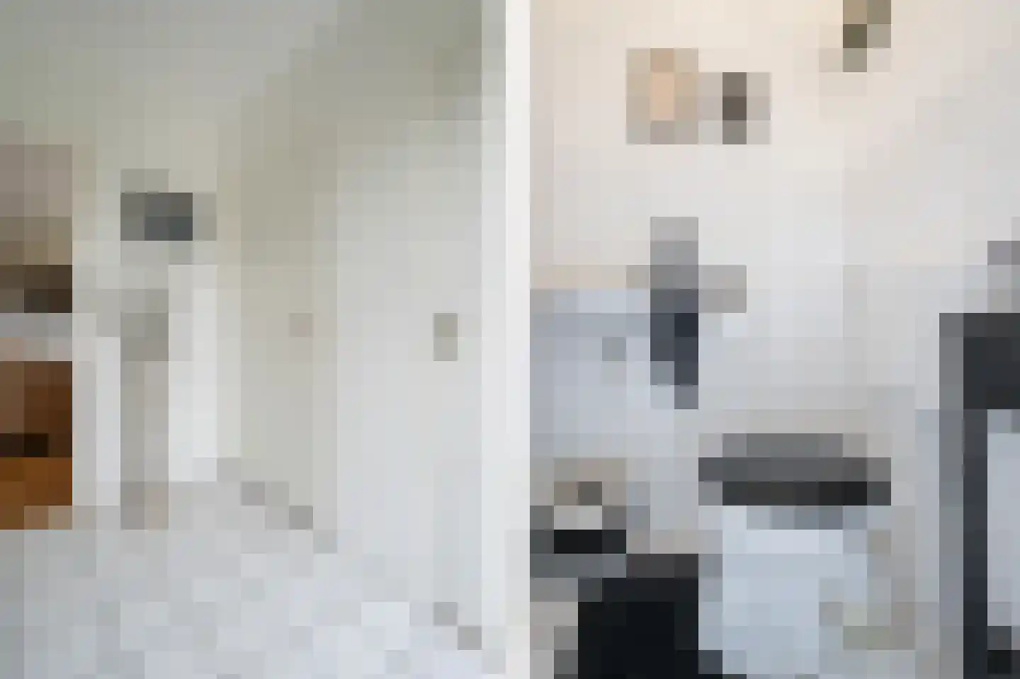 Nieuwe Steeg 42 b Herwijnen thumbnail 15