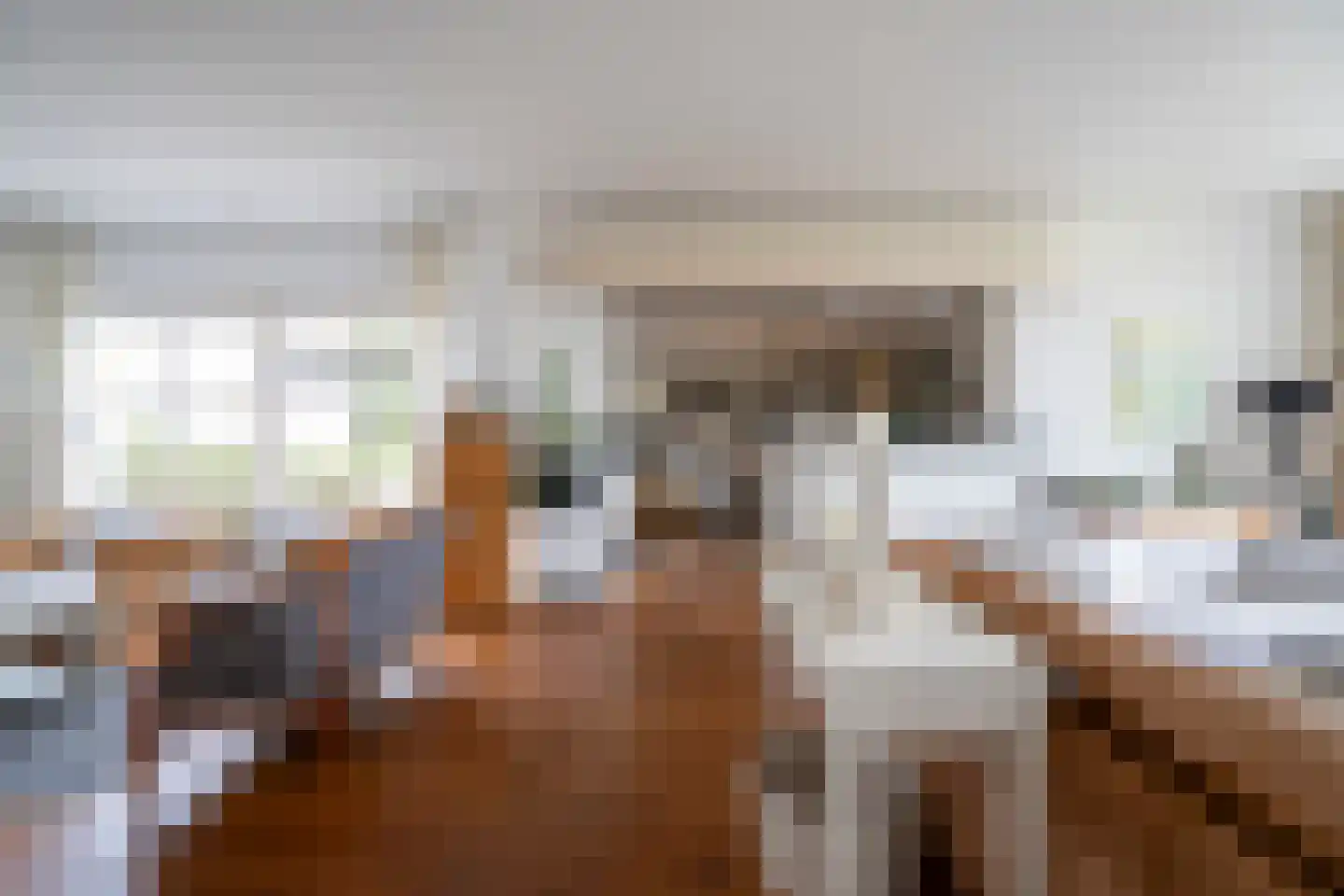 Nieuwe Steeg 42 b Herwijnen thumbnail 16
