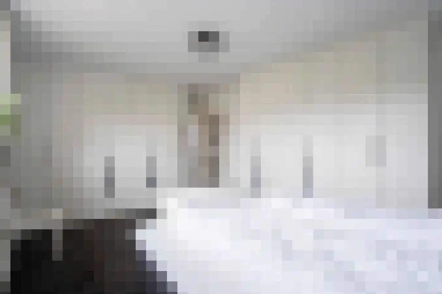 Nieuwe Steeg 42 b Herwijnen thumbnail 19