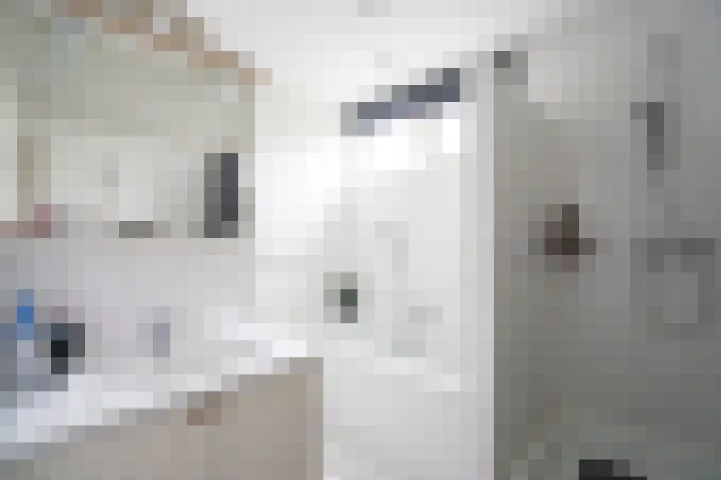 Nieuwe Steeg 42 b Herwijnen thumbnail 23
