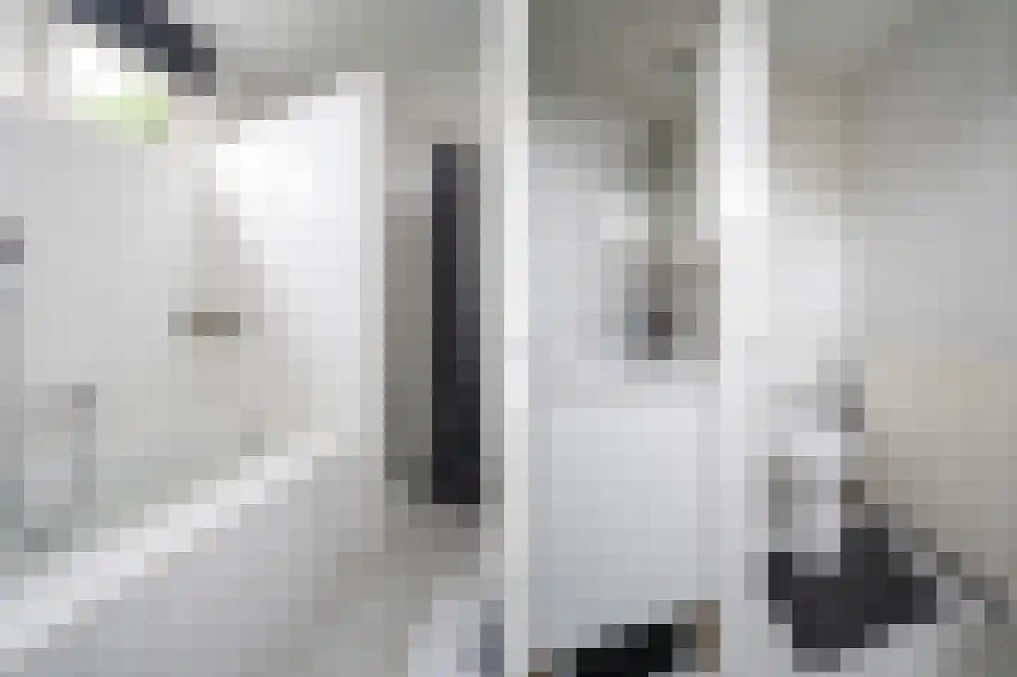 Nieuwe Steeg 42 b Herwijnen thumbnail 24
