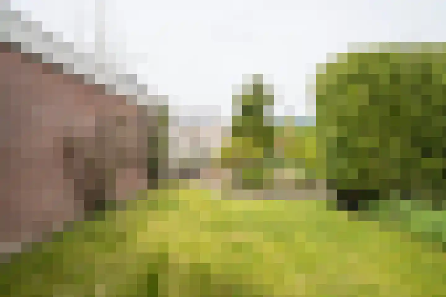 Nieuwe Steeg 42 b Herwijnen thumbnail 28