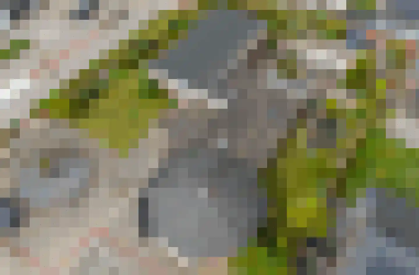 Nieuwe Steeg 42 b Herwijnen thumbnail 5