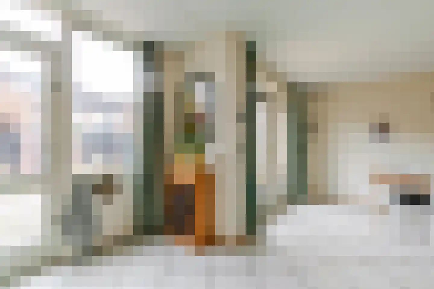 Nieuwe Steeg 47 Leersum thumbnail 11