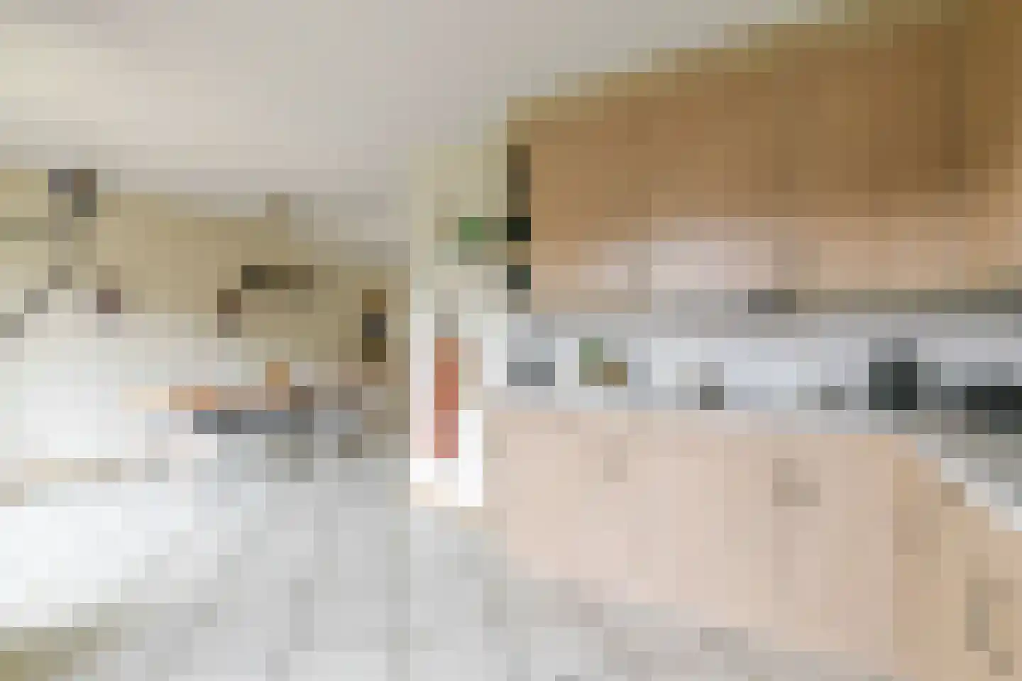 Nieuwe Steeg 47 Leersum thumbnail 12