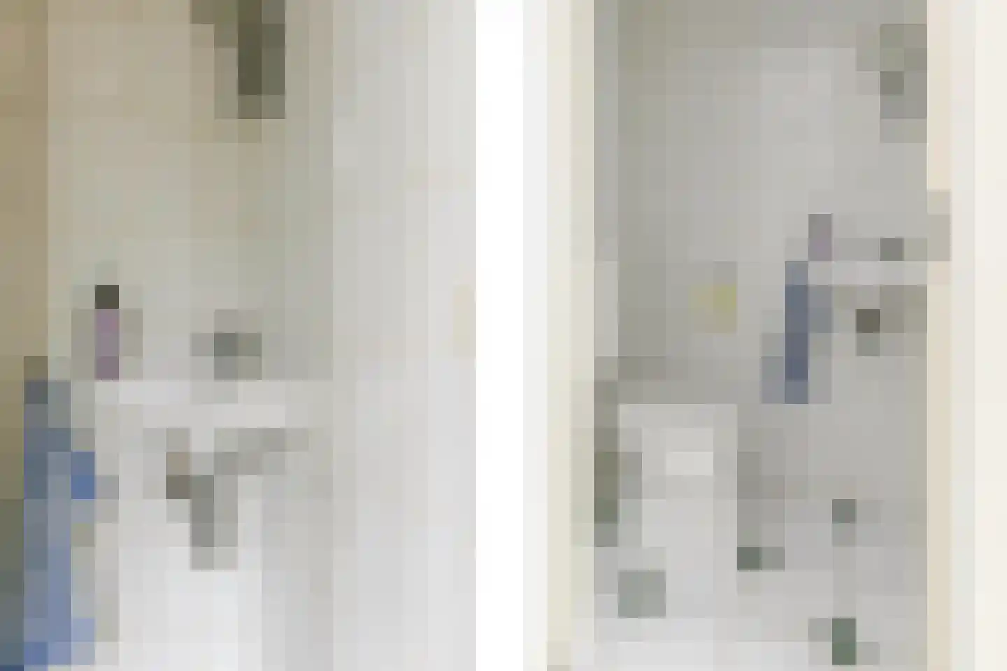 Nieuwe Steeg 47 Leersum thumbnail 13