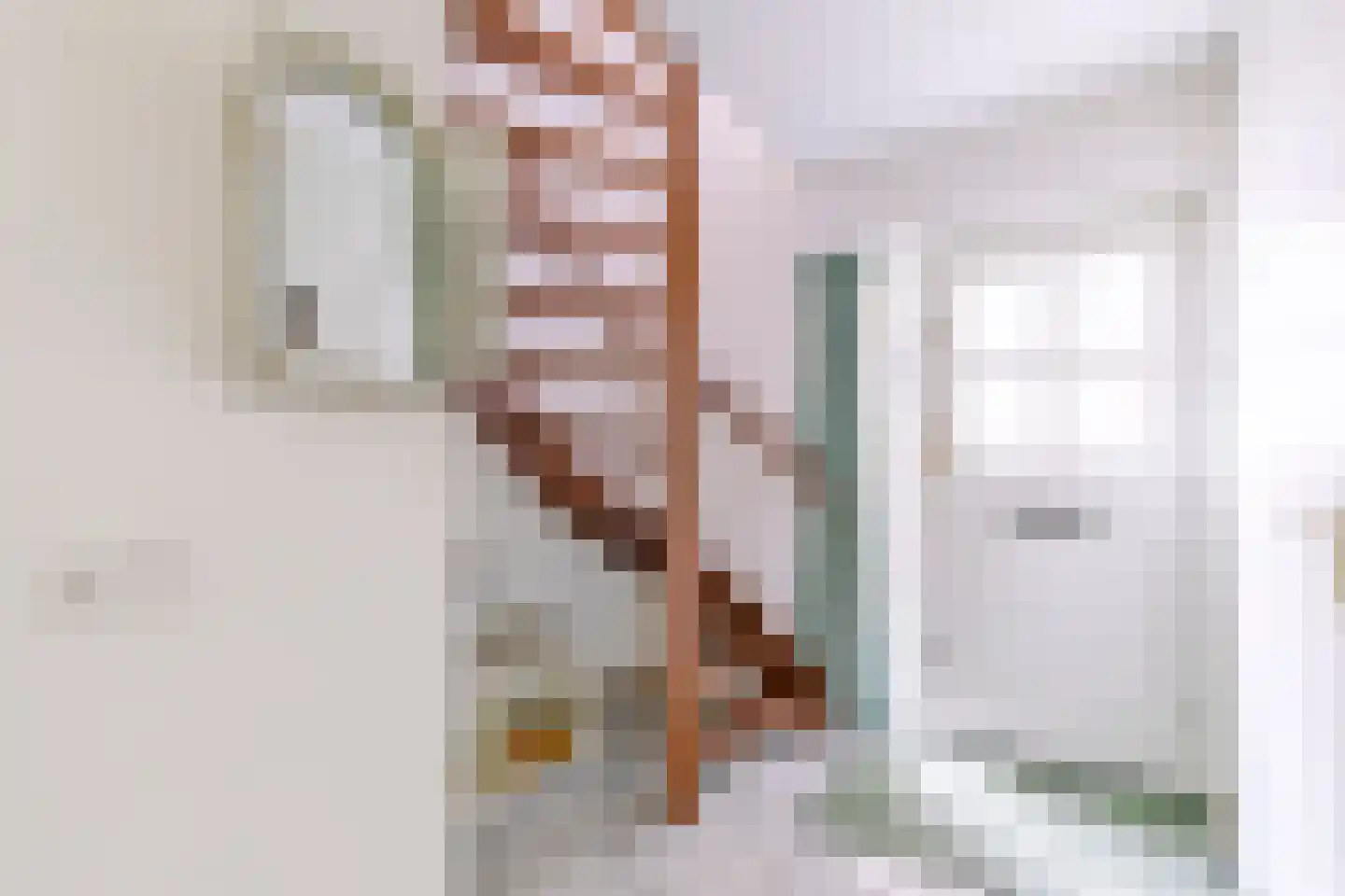 Nieuwe Steeg 47 Leersum thumbnail 14