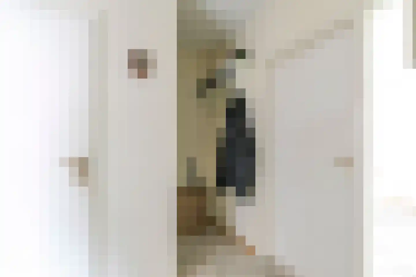 Nieuwe Steeg 47 Leersum thumbnail 16