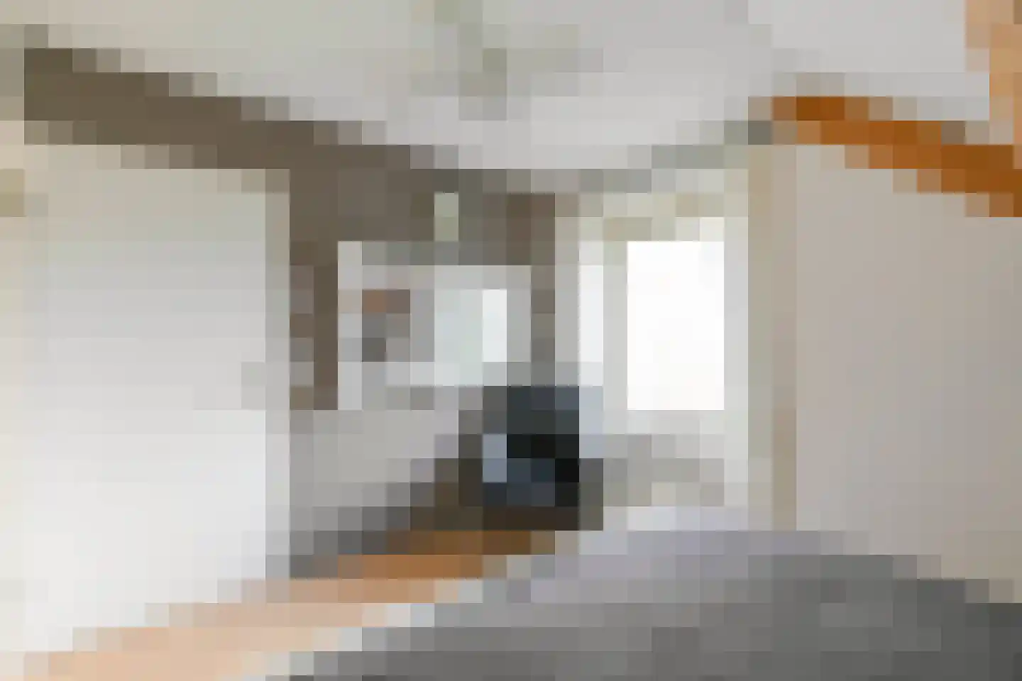 Nieuwe Steeg 47 Leersum thumbnail 18