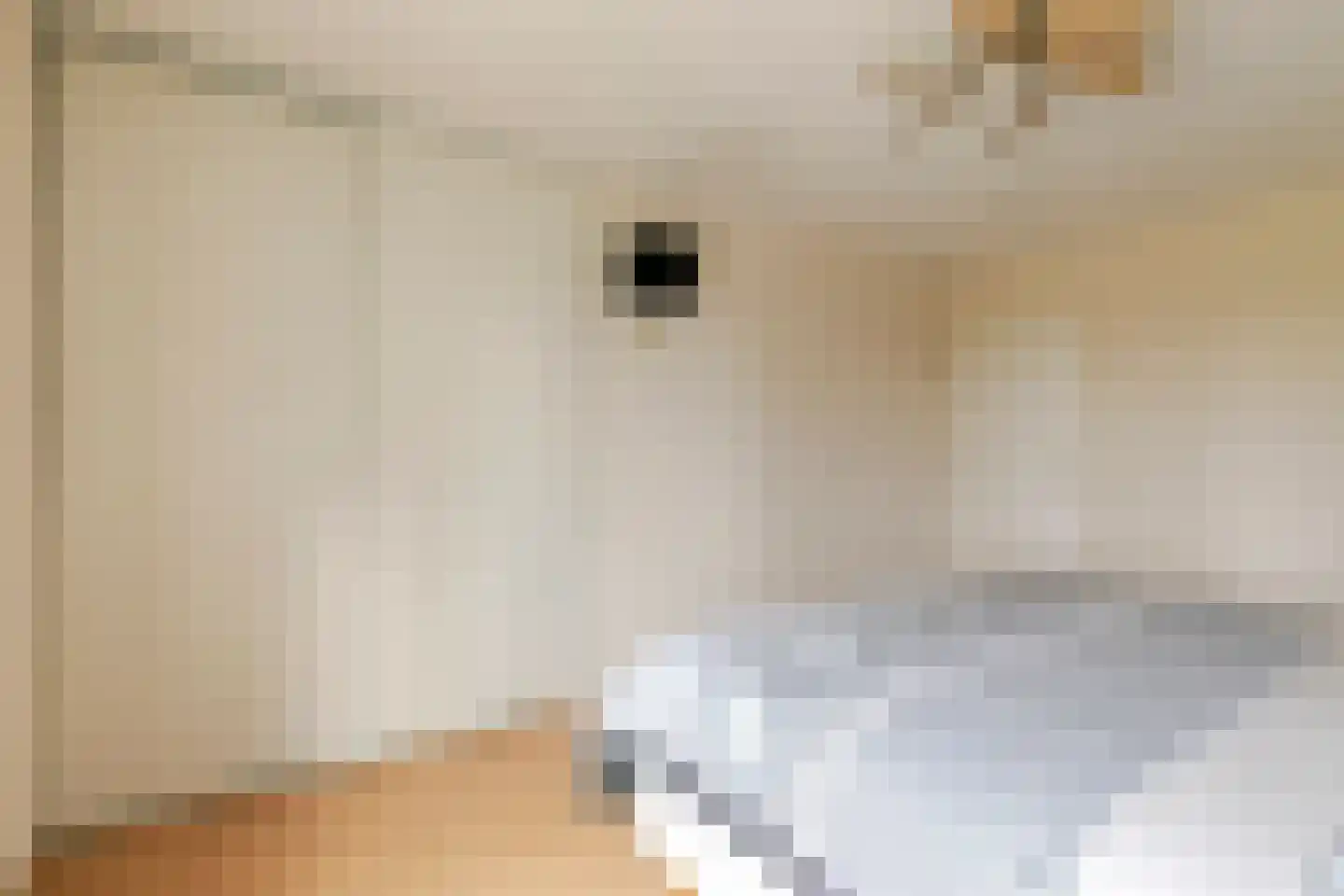 Nieuwe Steeg 47 Leersum thumbnail 24