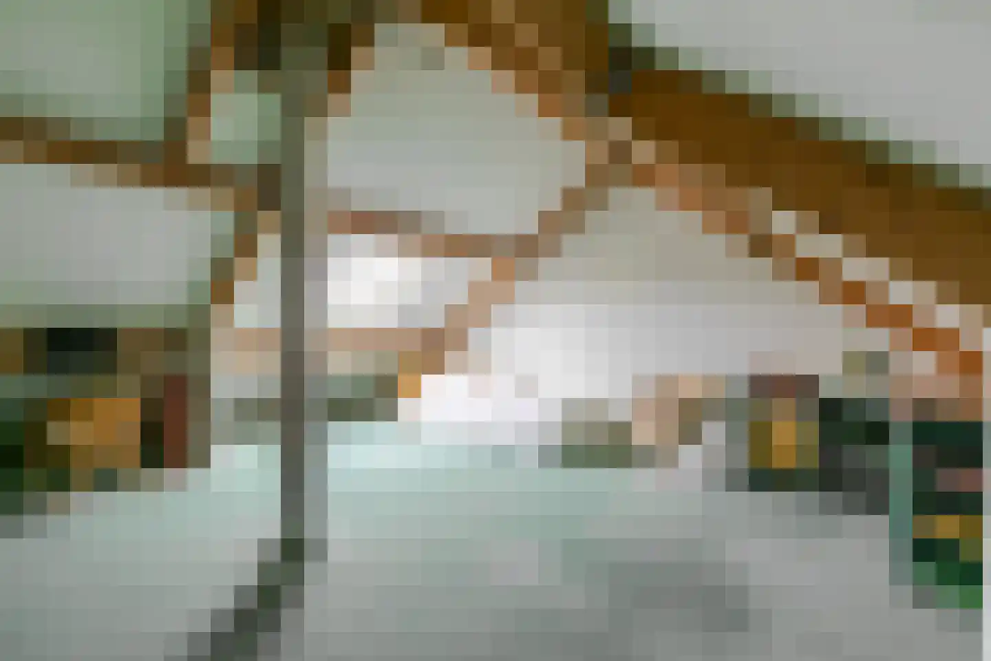Nieuwe Steeg 47 Leersum thumbnail 32