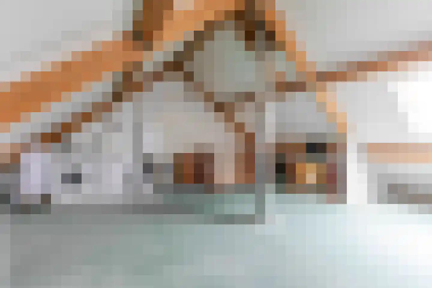 Nieuwe Steeg 47 Leersum thumbnail 33