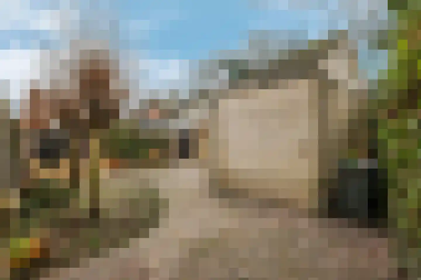 Nieuwe Steeg 47 Leersum thumbnail 40