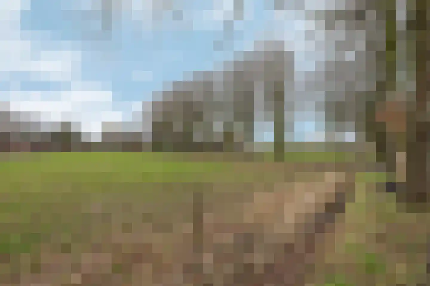 Nieuwe Steeg 47 Leersum thumbnail 46