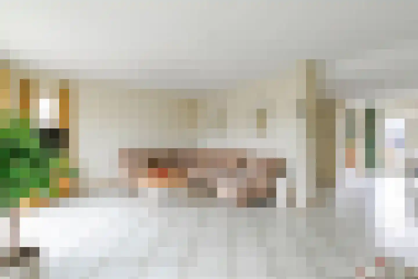 Nieuwe Steeg 47 Leersum thumbnail 5