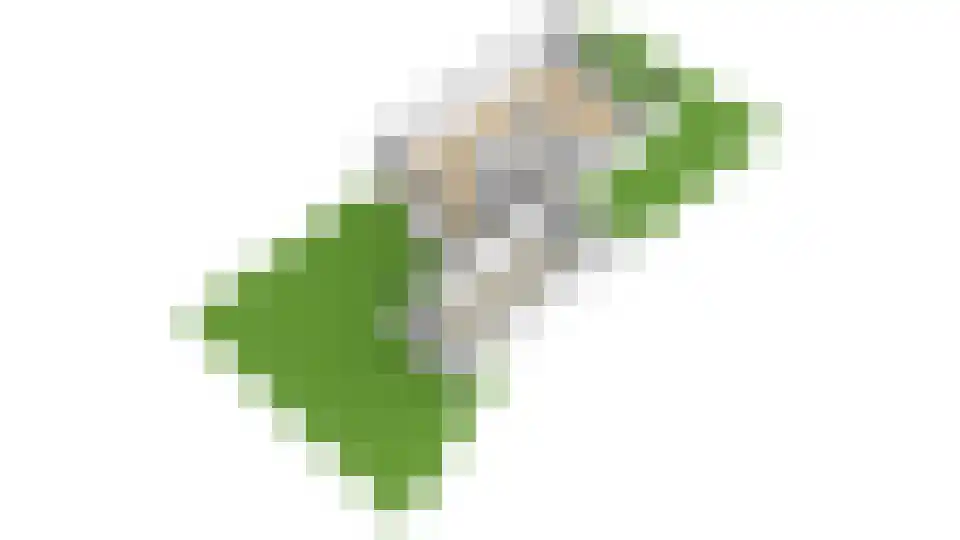Nieuwe Steeg 47 Leersum thumbnail 57