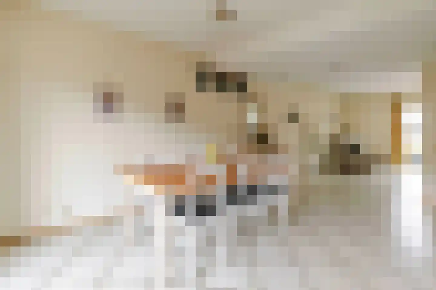 Nieuwe Steeg 47 Leersum thumbnail 8