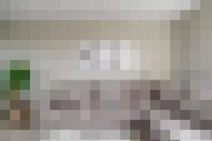 Nieuwe Steeg 49 Herwijnen thumbnail 10
