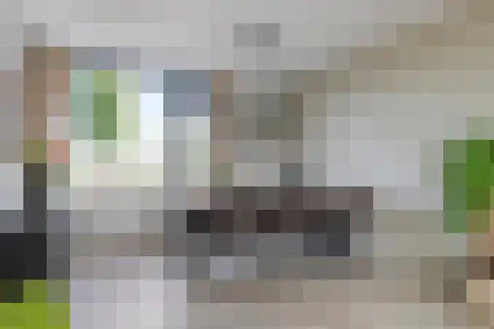 Nieuwe Steeg 49 Herwijnen thumbnail 11